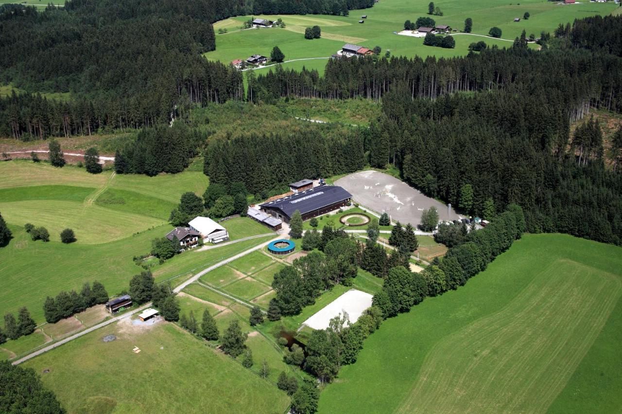 Ferienwohnung Reitgestuet Waldeck Saalfelden Exteriör bild